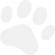 home 3 sub img
